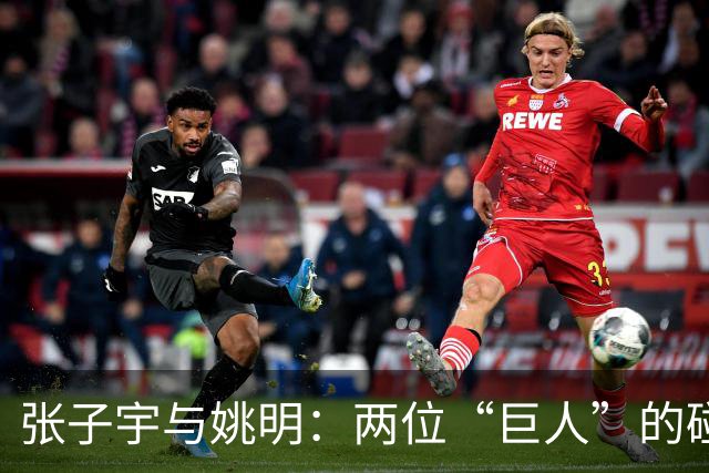 张子宇与姚明：两位“巨人”的碰撞与青春的魅力